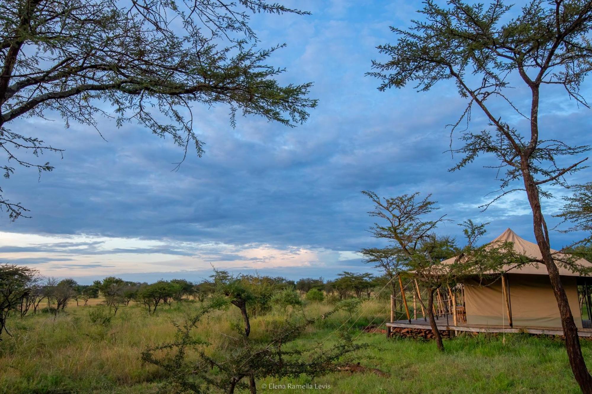 Serengeti Kifaru Tented Lodge Mugumu Εξωτερικό φωτογραφία